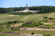rüdesheim-vineyards